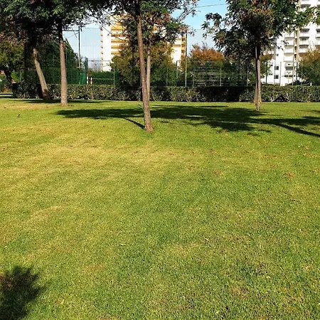 Sol Da Rocha By Sunny Deluxe Apartment