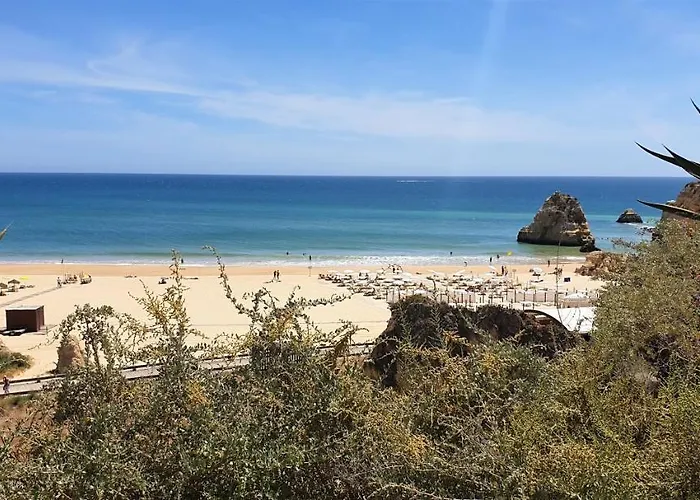 Sol Da Rocha By Sunny Deluxe