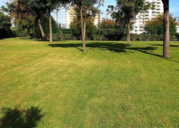 Sol Da Rocha By Sunny Deluxe Apartment