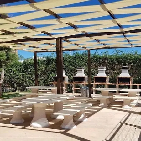 Sol Da Rocha By Sunny Deluxe * ポルティマン