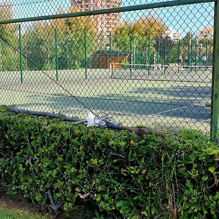 Sol Da Rocha By Sunny Deluxe * ポルティマン